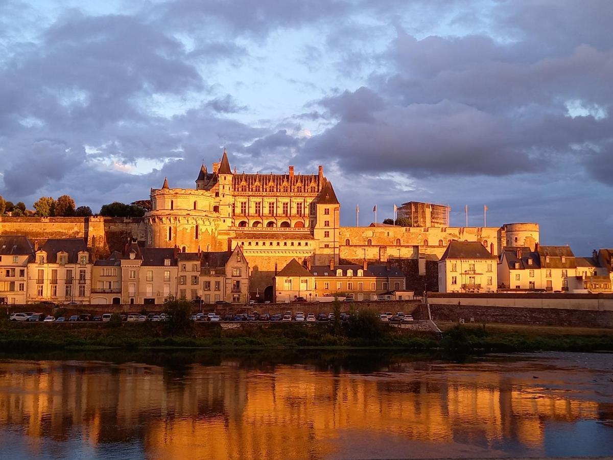 Villa La Petite Lucette Amboise Exterior foto