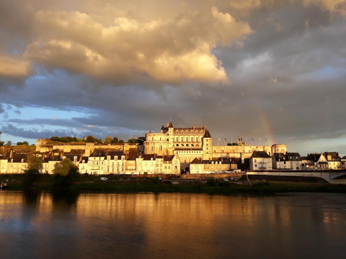 Villa La Petite Lucette Amboise Exterior foto