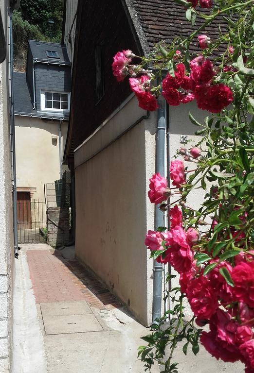 Villa La Petite Lucette Amboise Exterior foto