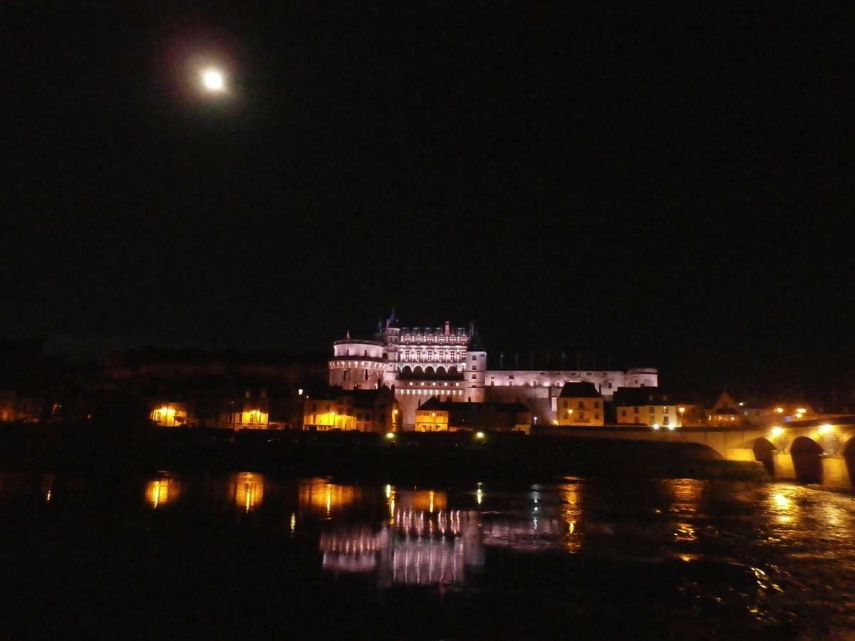 Villa La Petite Lucette Amboise Exterior foto